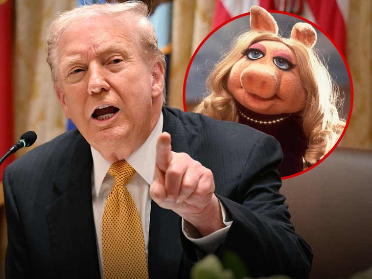 Donald Trump during a public appearance (Getty Images)