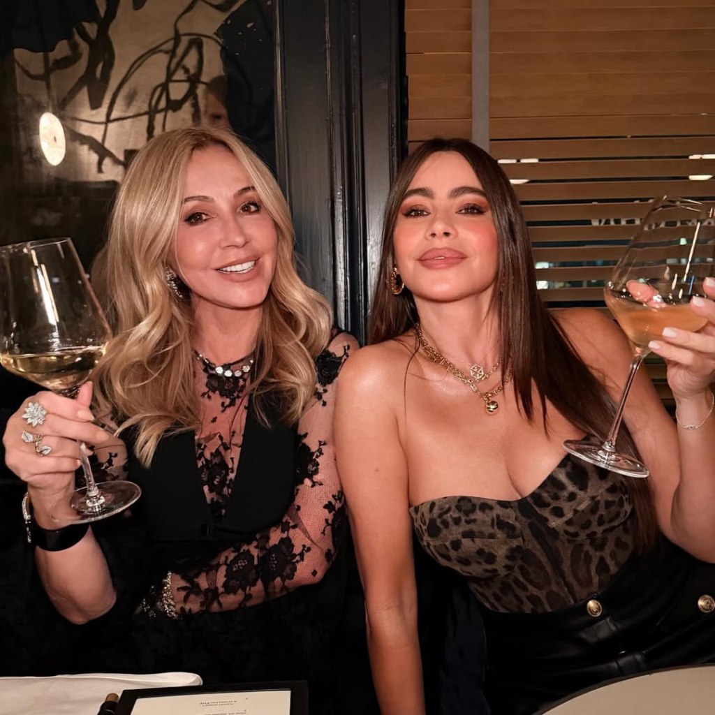Sofia Vergara toasts with birthday girl Anastasia Soare at the London dinner.