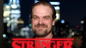 David Harbour as Jim Hopper in Stranger Things - file image (Getty Images)