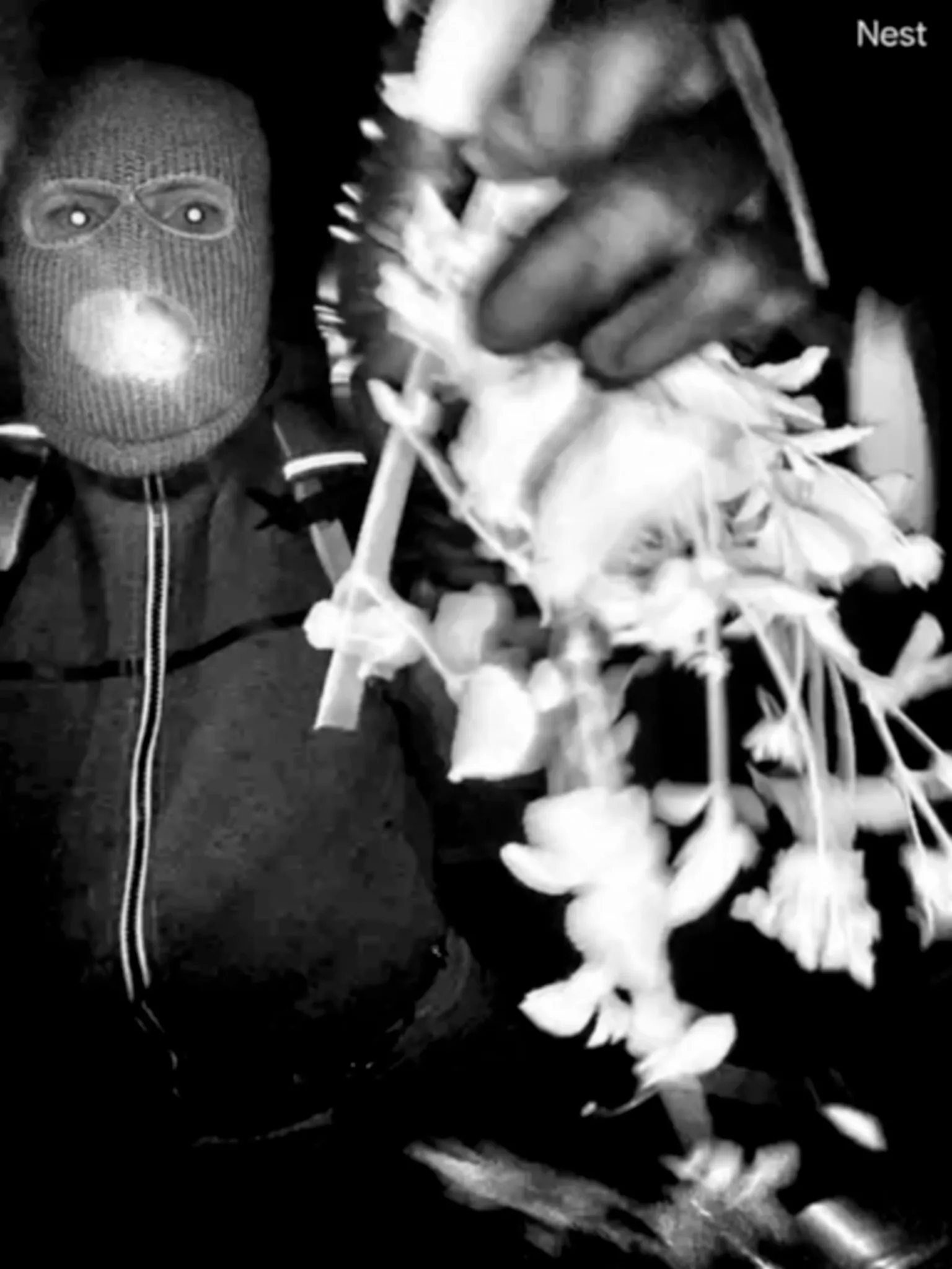 FBI-released surveillance still of a masked, armed suspect disabling Nancy Guthrie's front-door camera on February 1.