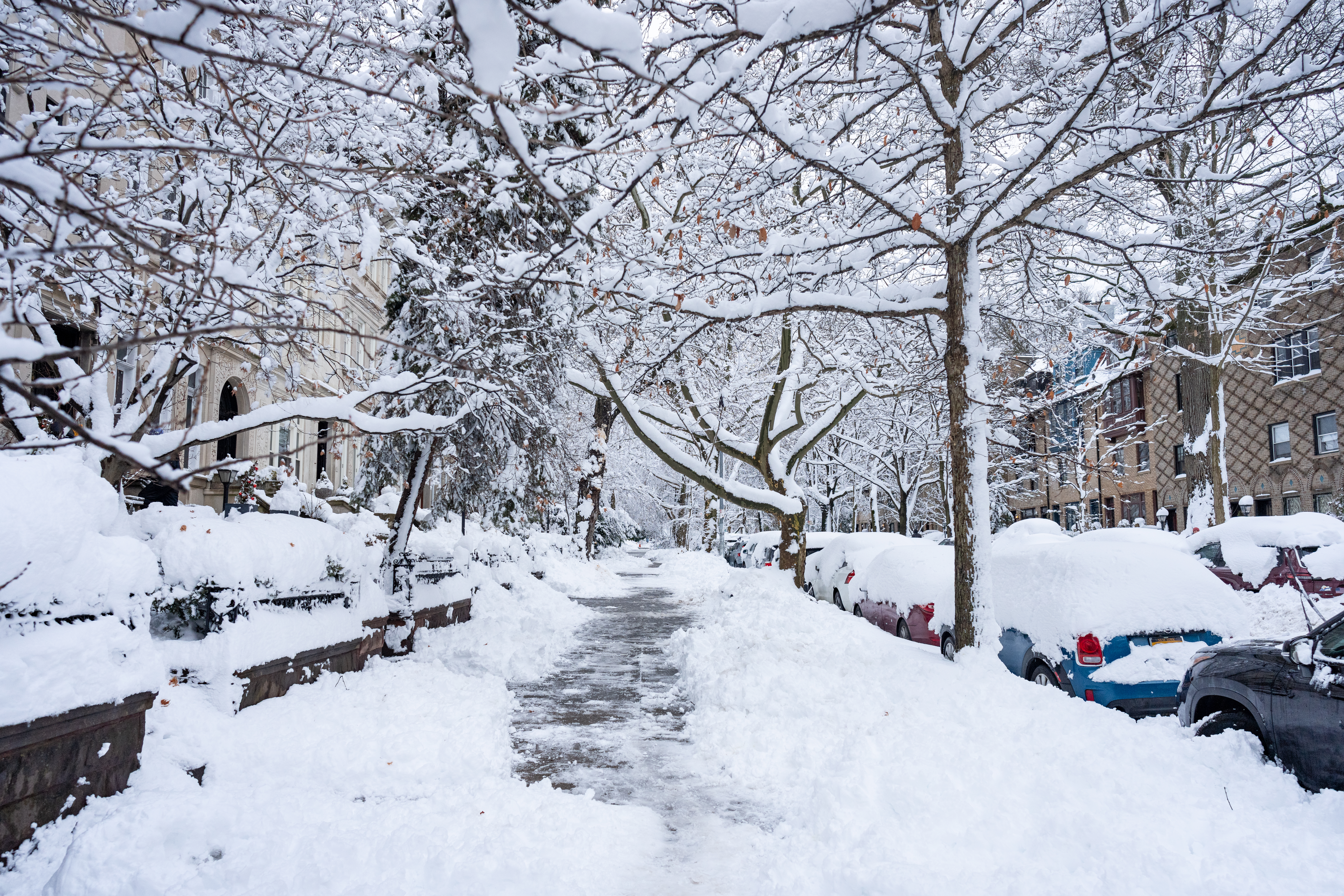 Snow-covered Brooklyn street during winter weather