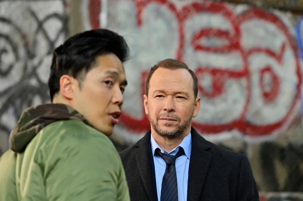 Alex Duong as Sonny Le opposite Donnie Wahlberg on Blue Bloods.