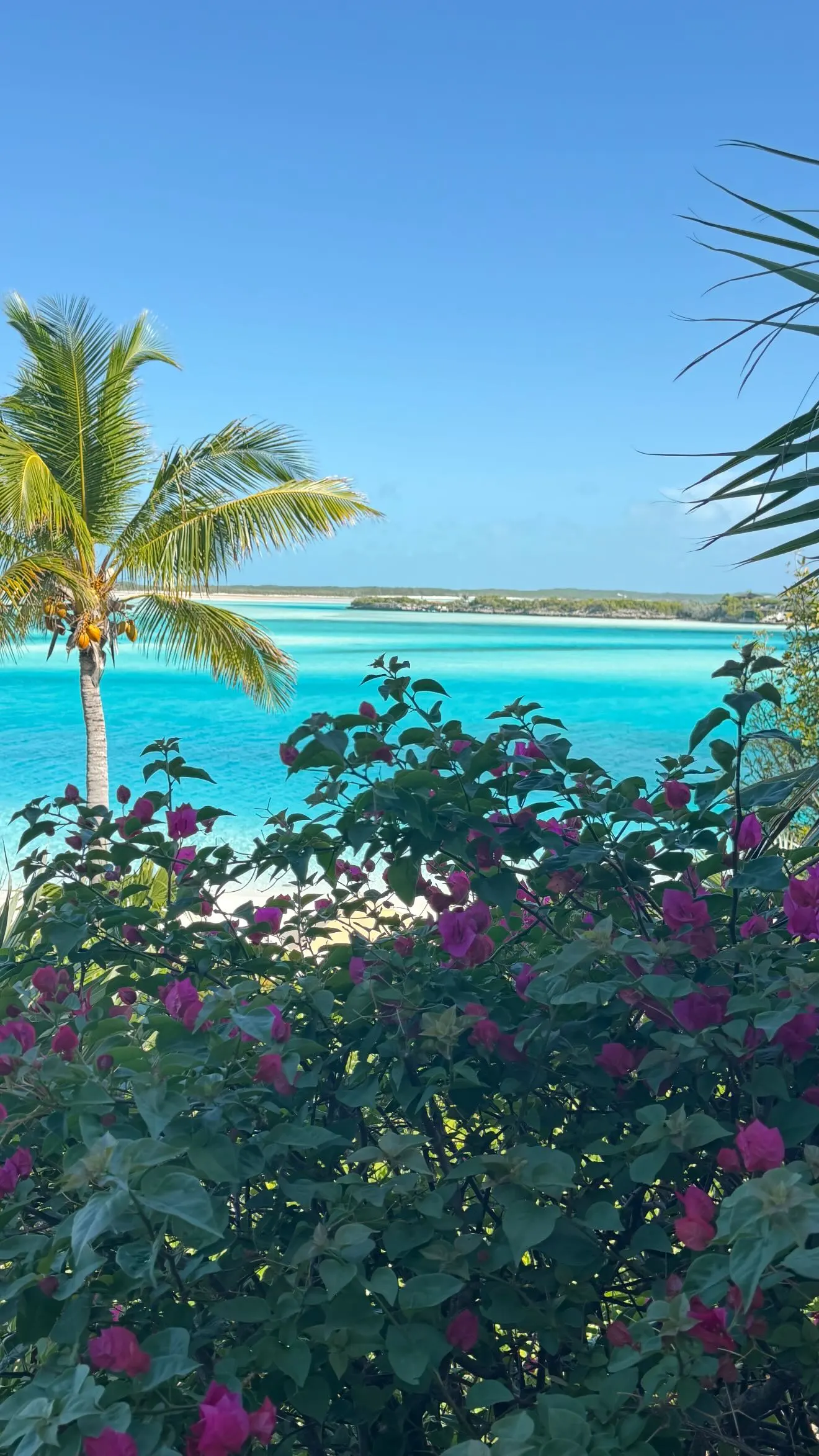 Bahamas palm trees and turquoise water from Ivanka Trump's Stories.