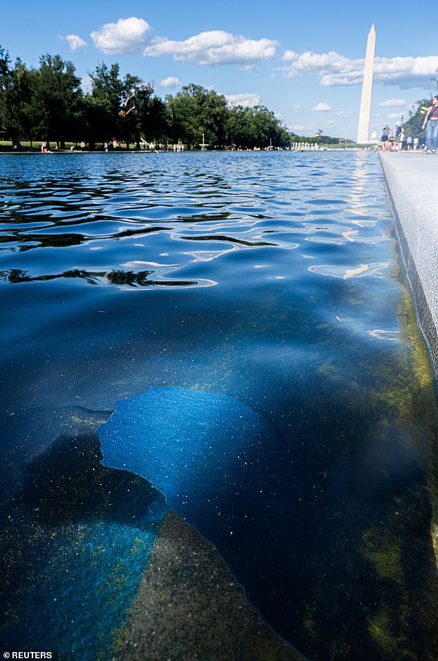 Peeling coating and damaged surface at the Reflecting Pool with the Washington Monument in the background