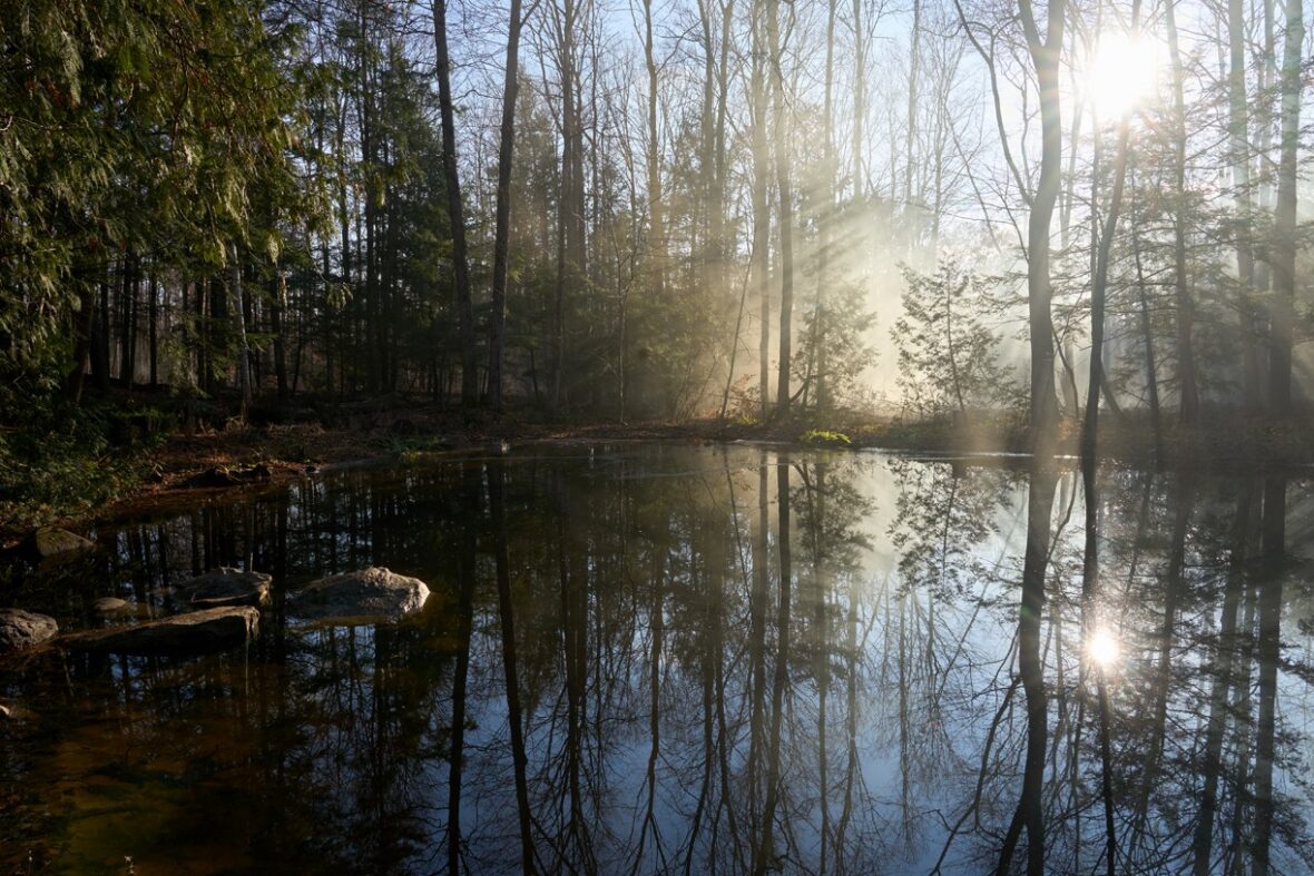 The Way Home's mysterious pond, the show's iconic time-travel site, at sunrise.
